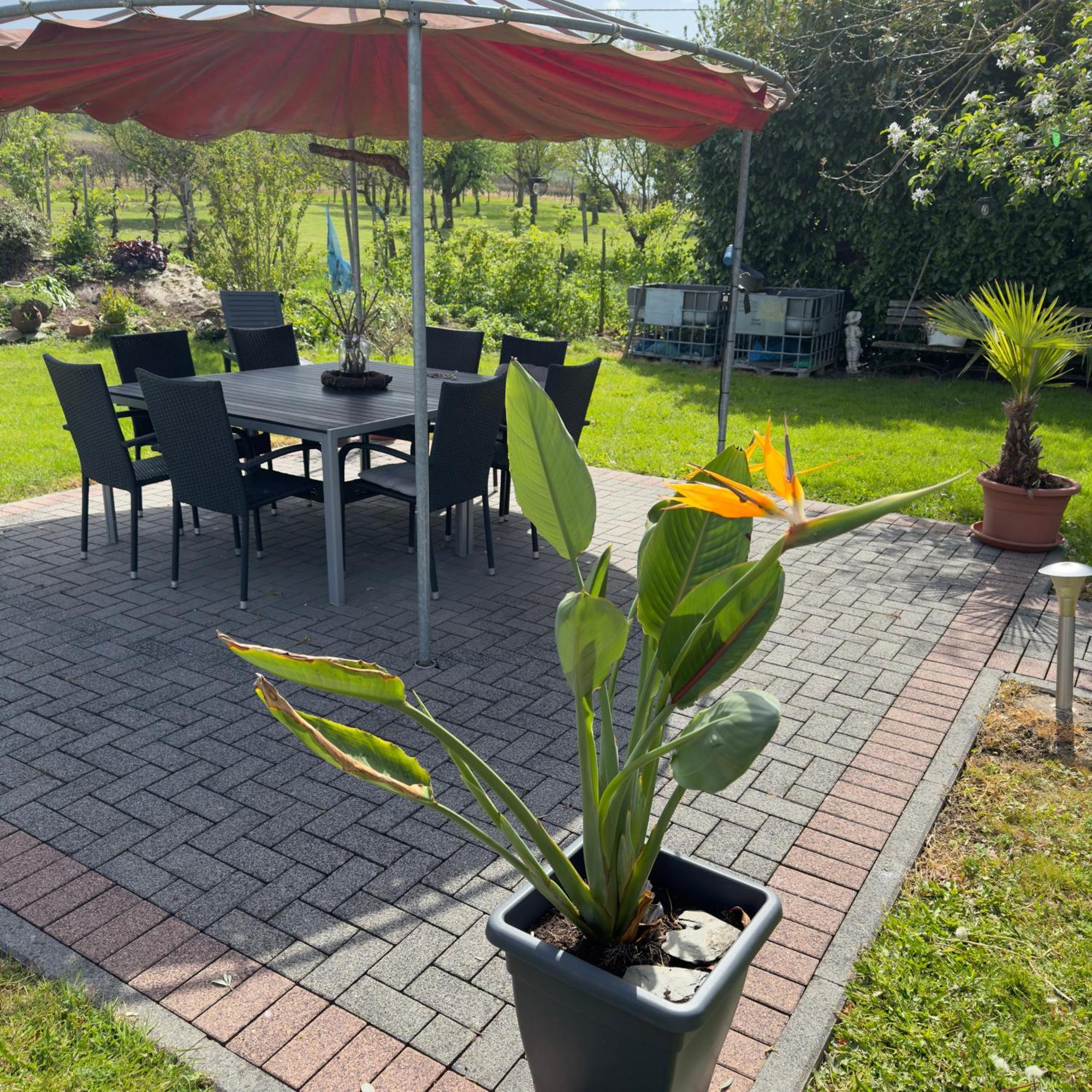 Weingut Tiliahof Bed and Breakfast Brauneberg Exteriör bild